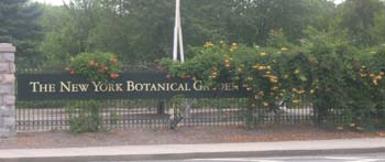 Botanical Garden2